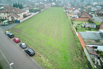 Bouwgrond (projecten) te koop in Neerpelt