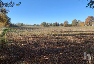 Landbouwgrond te koop in Hamont-Achel